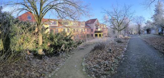 Newsletter März 2025