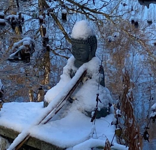 ZEGG Winter - Buddha am Teich